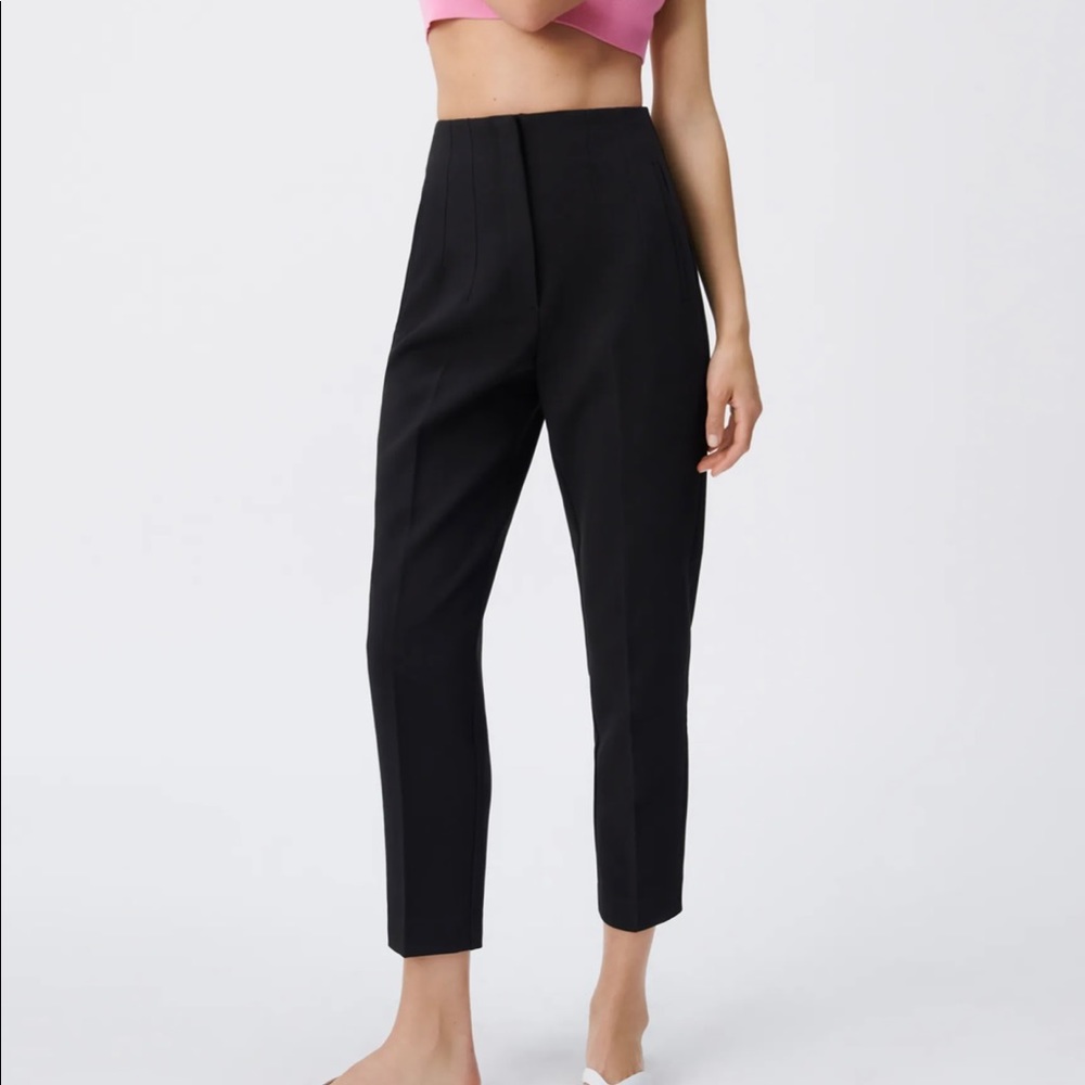 ZARA High Waisted Pants